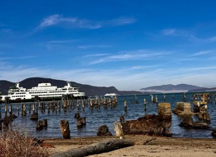 Two Washington State Ferries at the Anacortes terminal beyond a beach of old weathered pilings