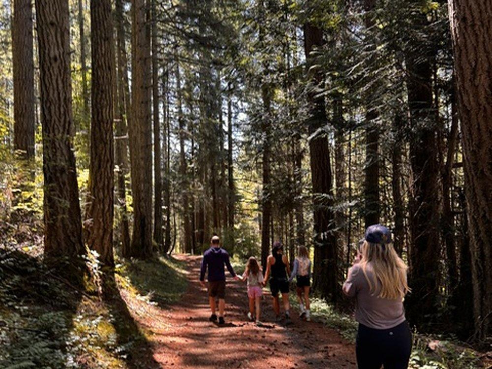 A forest trail under tall trees with walkers and a dog