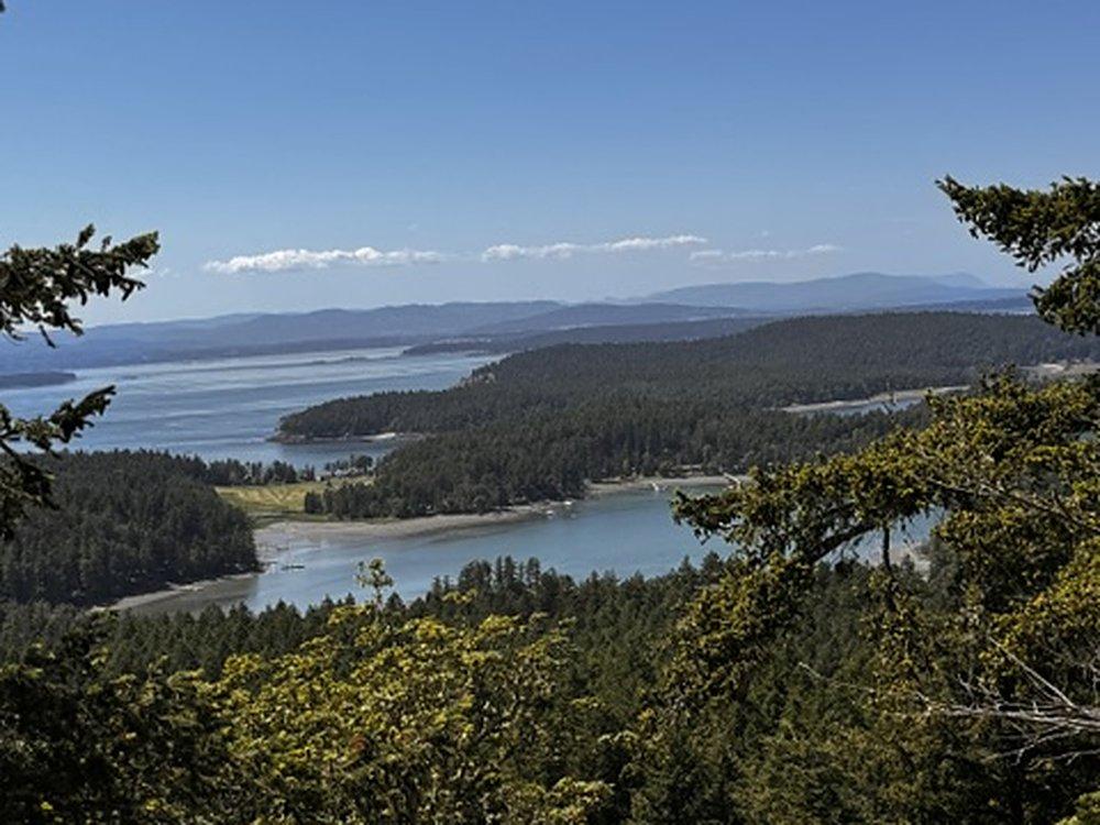 Looking out over forested islands and open water under a clear sky