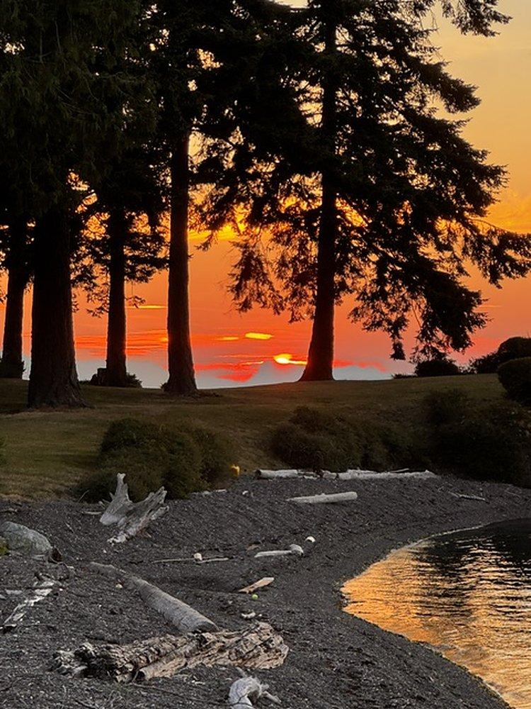 Sunset burning orange behind tall firs above a driftwood beach